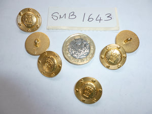 Military Buttons ( 1643 )